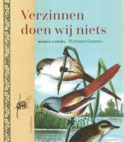 Omslag van Verzinnen doen wij niets