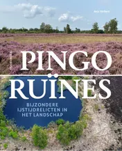 Omslag van Pingoruïnes