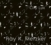 Omslag van Ray K. Metzker