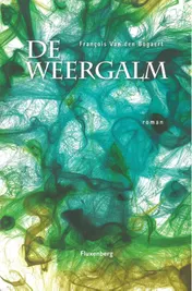 Omslag van De weergalm