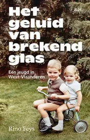 Omslag van Het geluid van brekend glas
