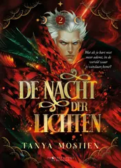 Omslag van De nacht der lichten