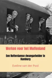 Omslag van Werken voor het Moffenland