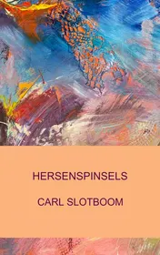 Omslag van HERSENSPINSELS