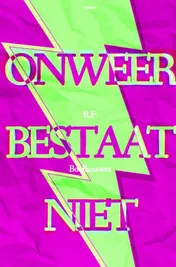 Omslag van Onweer bestaat niet