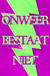 Omslag van Onweer bestaat niet