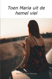 Omslag van Toen Maria uit de hemel viel