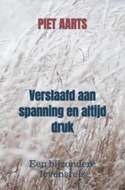 Omslag van Verslaafd aan spanning en altijd druk