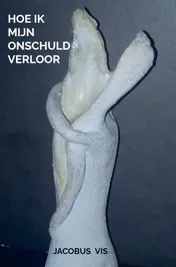 Omslag van Hoe ik mijn onschuld verloor