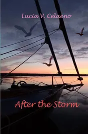 Omslag van After the Storm.