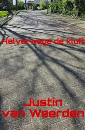 Omslag van Halverwege de kluft