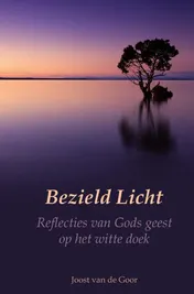 Omslag van Bezield Licht