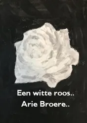 Omslag van Een witte roos..