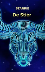 Omslag van De Stier