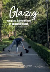 Omslag van Glazig; van glas, barkrukken en sensatielusten (De pakkatbezorger)