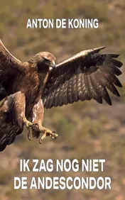 Omslag van Ik zag nog niet de Andescondor