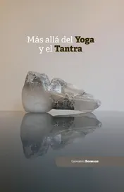 Omslag van Más allá del yoga y del tantra