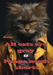 Omslag van All cats are gray & Poppa needs shorts