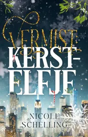 Omslag van Vermist: kerstelfje