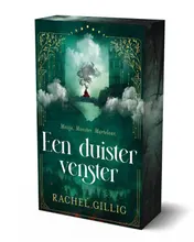 Omslag van Een duister venster