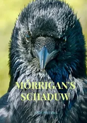 Omslag van Mórrigan's schaduw