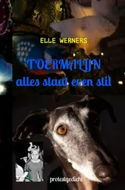 Omslag van TOERMALIJN