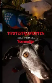 Omslag van PROTESTGEDICHTEN