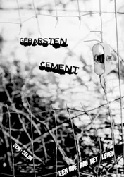 Omslag van Gebarsten Cement