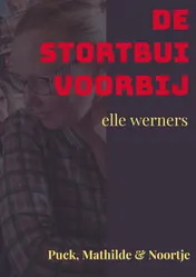 Omslag van DE STORTBUI VOORBIJ