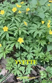Omslag van Yvette