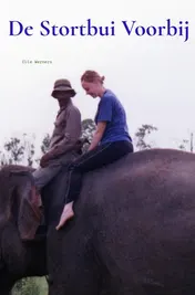 Omslag van DE STORTBUI VOORBIJ