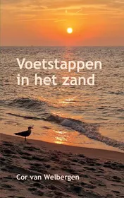 Omslag van Voetstappen in het zand