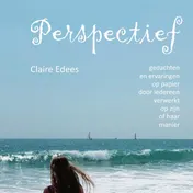 Omslag van Perspectief