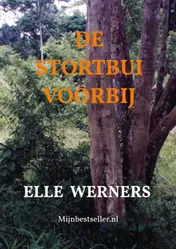 Omslag van DE STORTBUI VOORBIJ