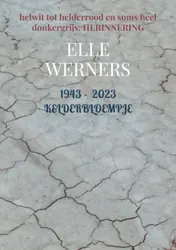 Omslag van 1943 - 2023 KELDERBLOEMPJE