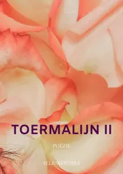 Omslag van Toermalijn II