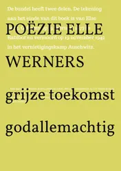 Omslag van GRIJZE TOEKOMST GODALLEMACHTIG