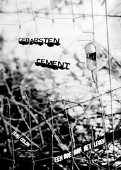 Omslag van Gebarsten Cement