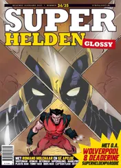 Omslag van Superhelden glossy