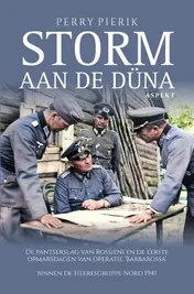 Omslag van Storm aan de Düna