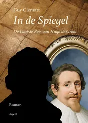 Omslag van In de spiegel