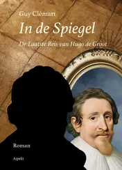 Omslag van In de spiegel