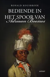 Omslag van Bediende in het spoor van Adriaan Boesses