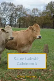 Omslag van 'Sabine, Hadewich, Cathrien en Ik'