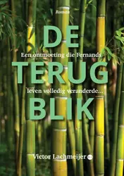 Omslag van De terugblik