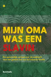 Omslag van Mijn oma was een slavin