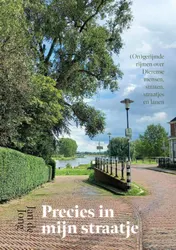 Omslag van Precies in mijn straatje