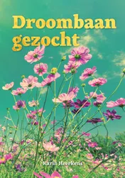 Omslag van Droombaan gezocht