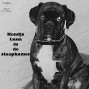 Omslag van Hondje Luna in de slaapkamer