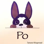 Omslag van Po